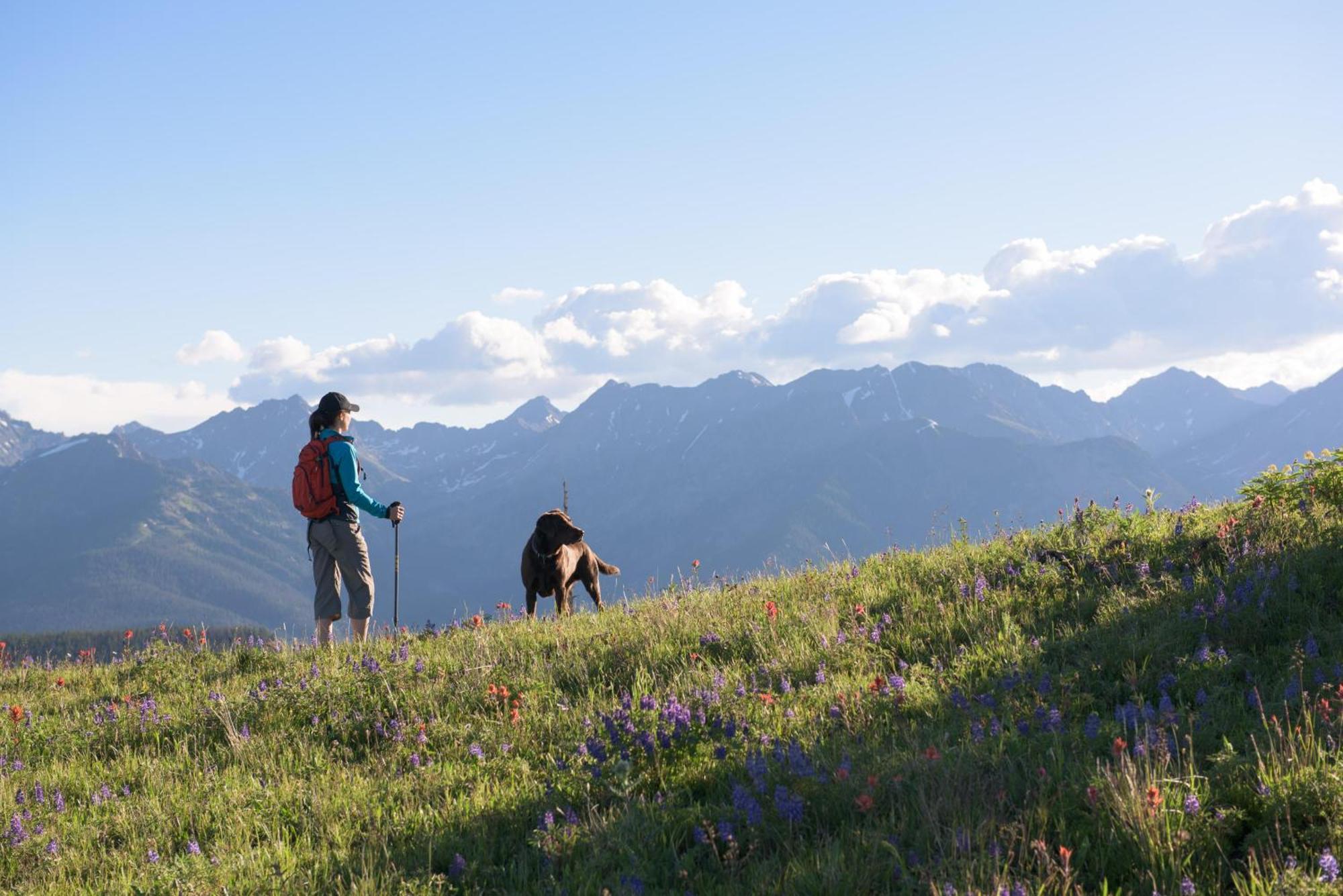 Lift House Lodge, Lionshead Studio Condo, Walk To Gondola Holiday home Vail